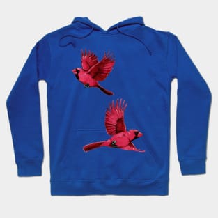 Watercolor Cardinal 2 Hoodie